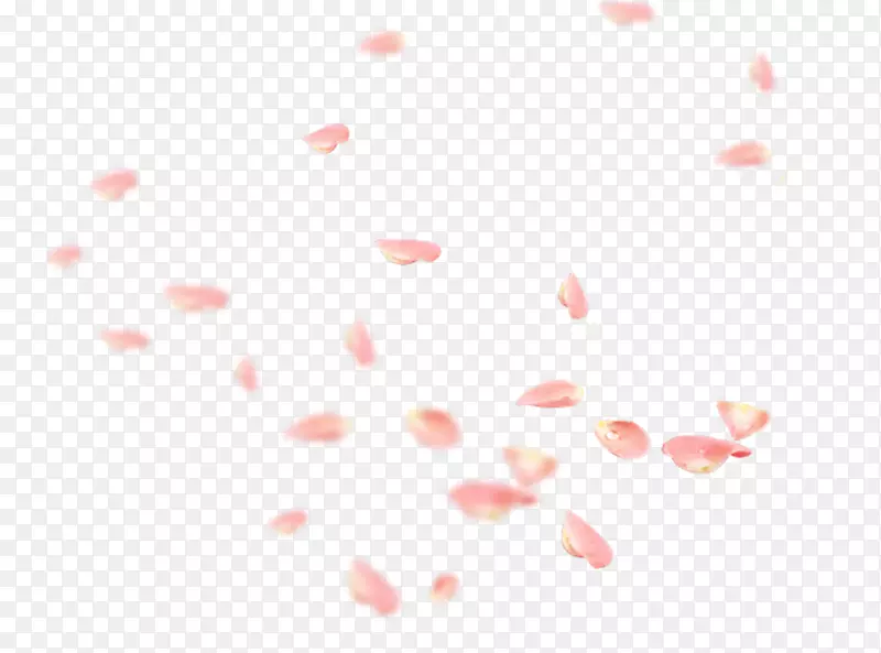 漫天飘零的粉花瓣