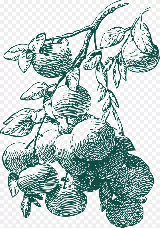 结果卡通风格橘子