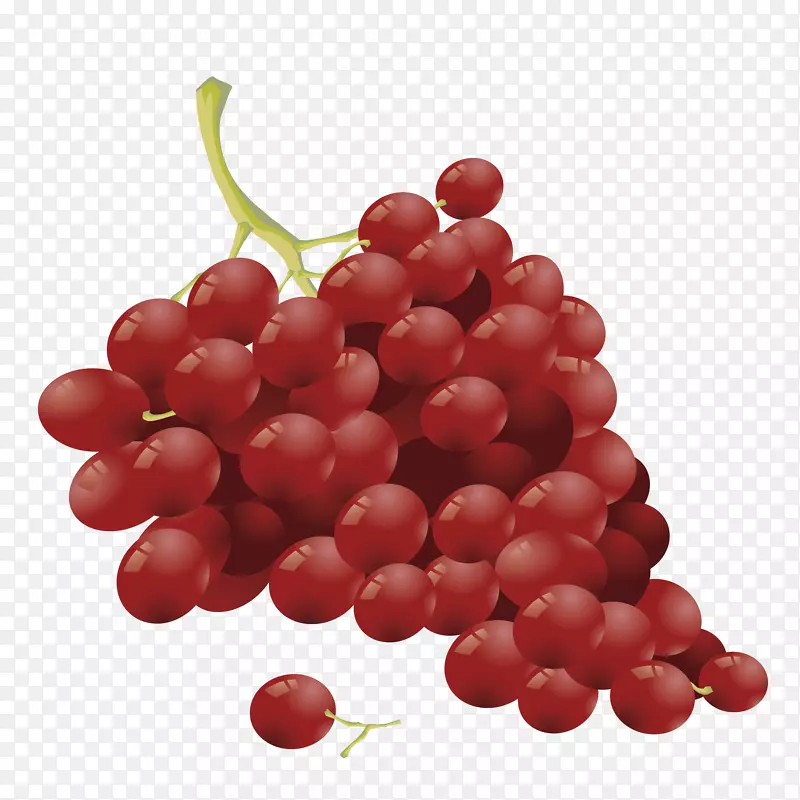 手绘红色葡萄