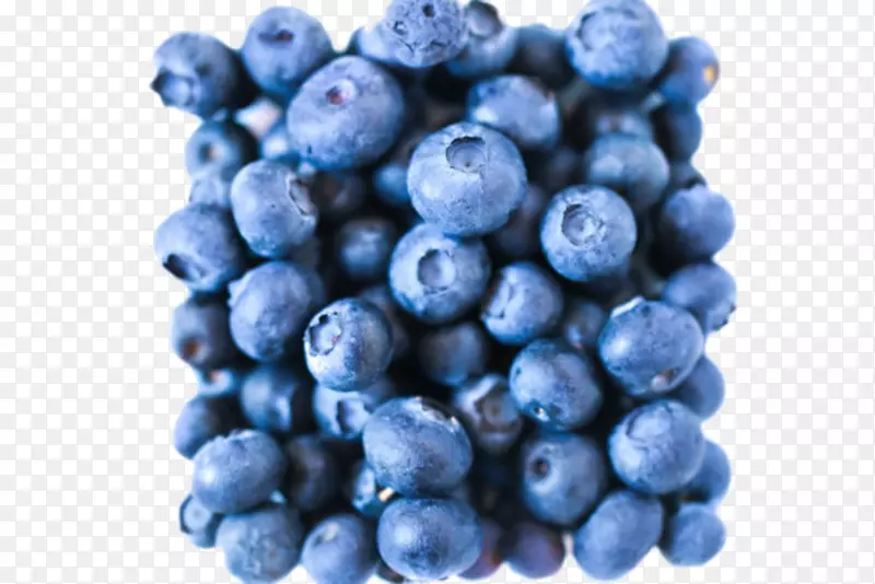 实物野生蓝莓