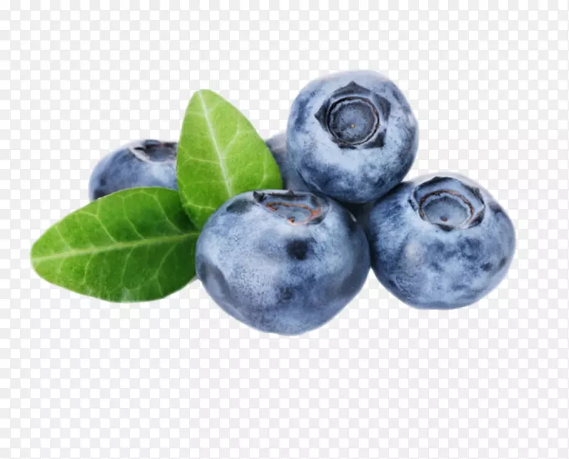实物带叶子的野生蓝莓