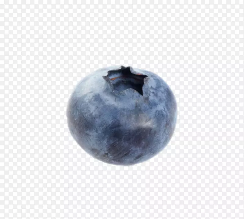 实物野生蓝莓