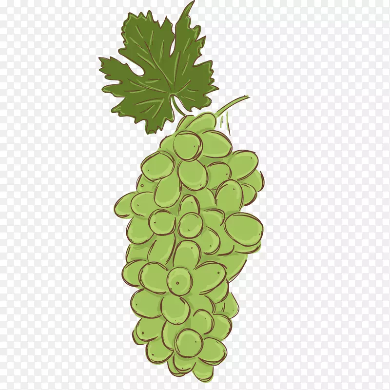手绘卡通绿色葡萄