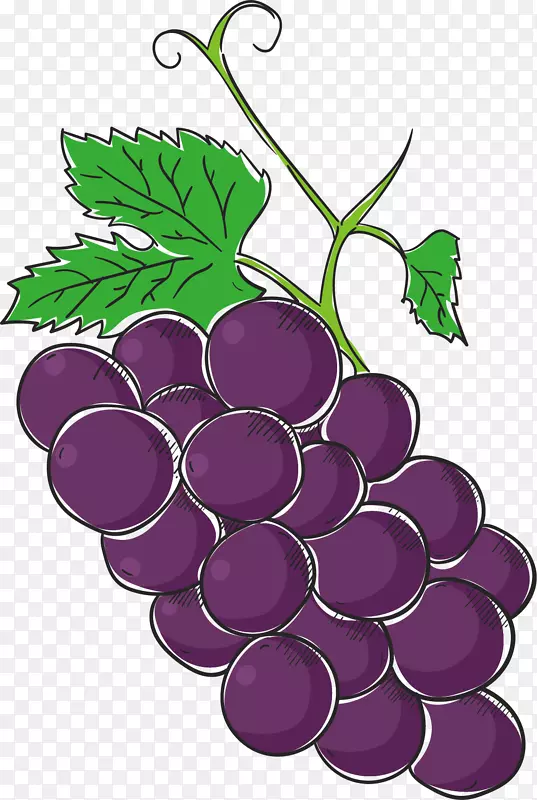 一串紫色葡萄