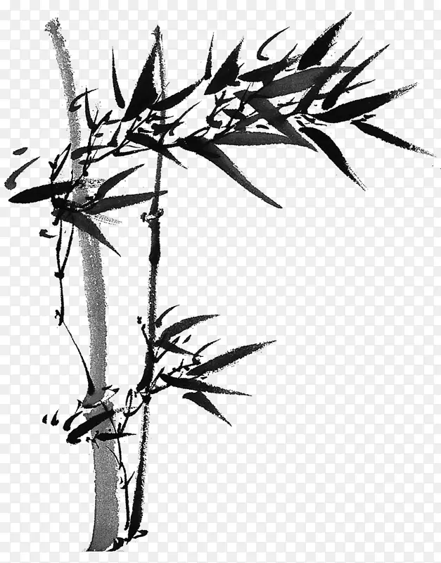 手绘的竹子竹叶