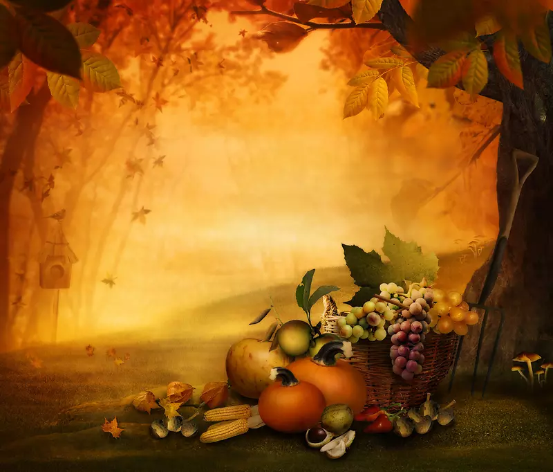 秋天树林风景与水果蔬菜