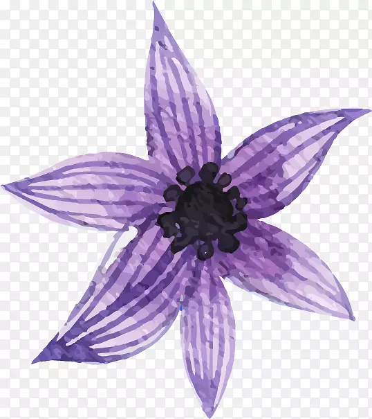 手绘紫色花朵