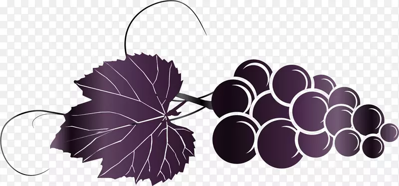 紫色葡萄装饰图案