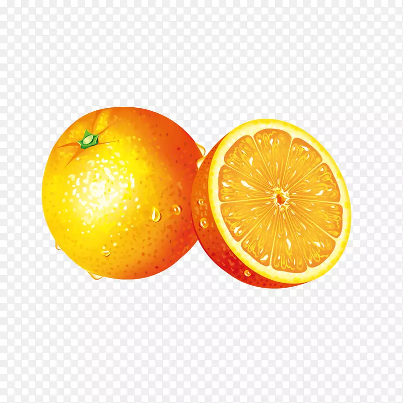 新鲜的黄色橙子矢量插画