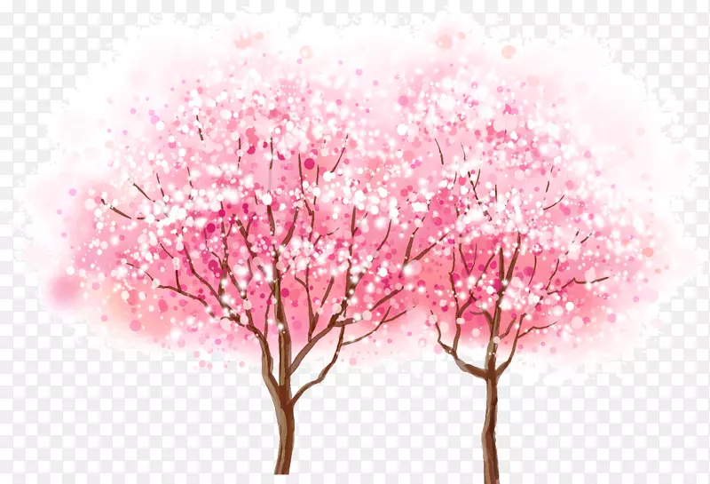 漂亮的樱花树