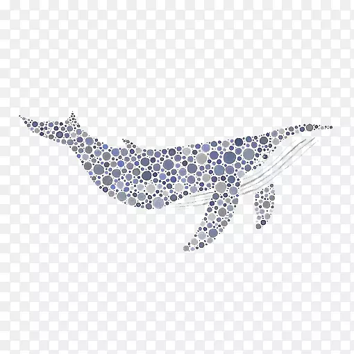 斑点鲸鱼