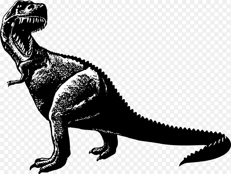 恐龙素描矢量图