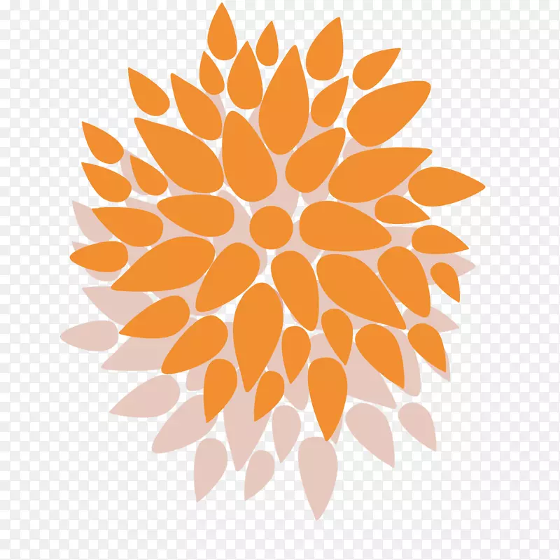 菊花抽象