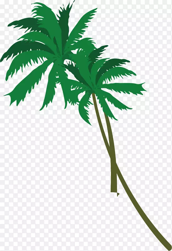 矢量图水彩绿色椰树