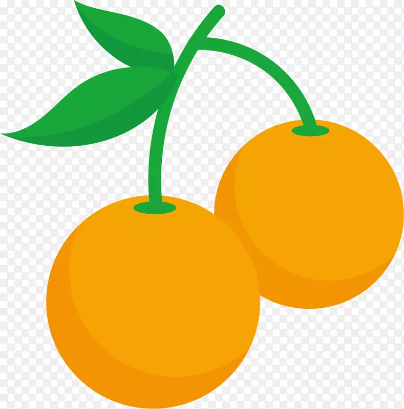 纯色矢量黄色柑橘果实