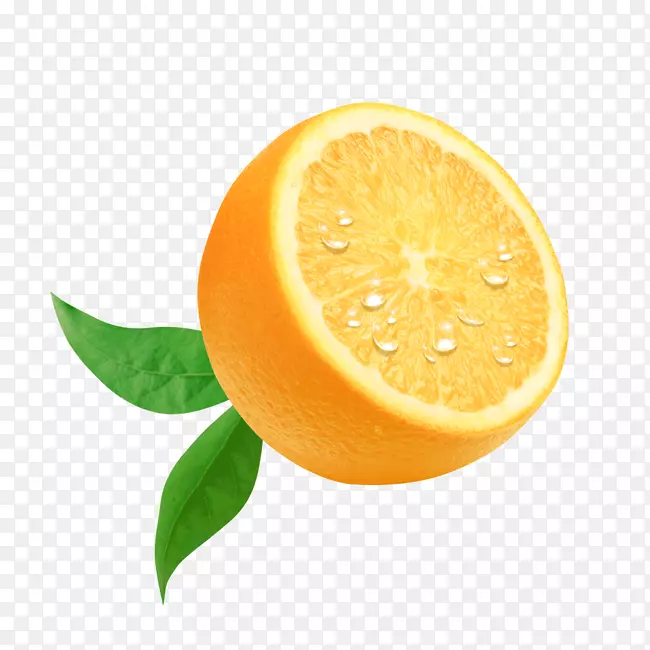 半个橙子免抠PNG