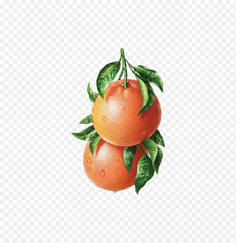 水果新鲜橙子