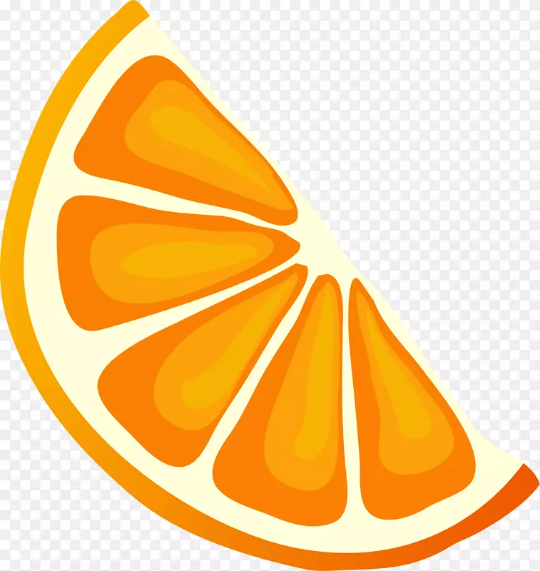 手绘橙色橙子