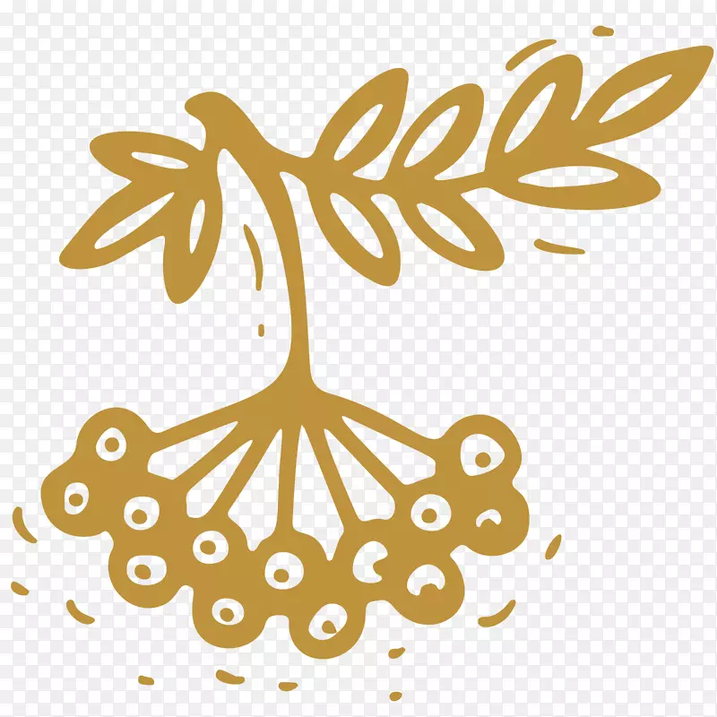 矢量花椒免抠PNGPNG图片素材下载_图片编号7587980-PNG素材网