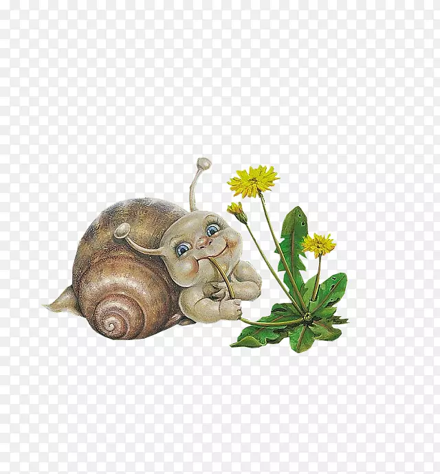 可爱小蜗牛