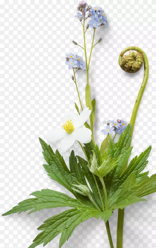 彩色的小碎花
