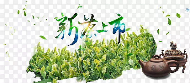 茶叶上市