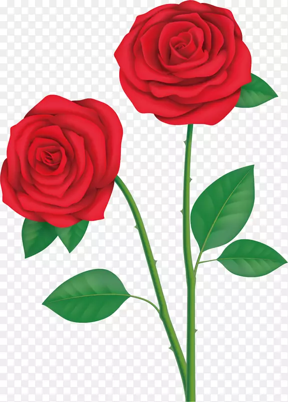 矢量图带刺的玫瑰