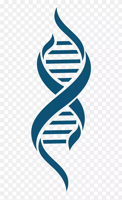 手绘蓝色DNA结构图png