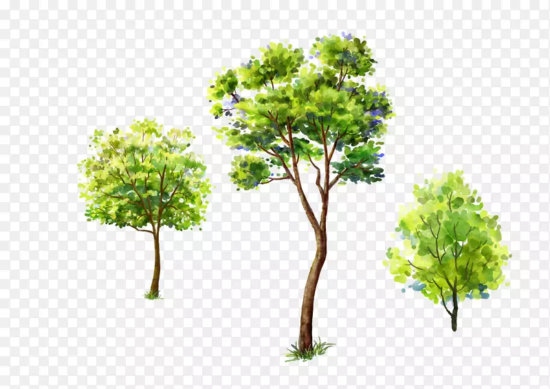 高清彩绘绿树