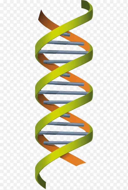 卡通基因DNA结构图