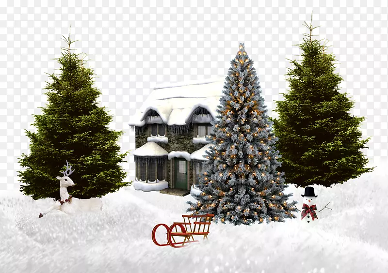 雪地里的房子和松树