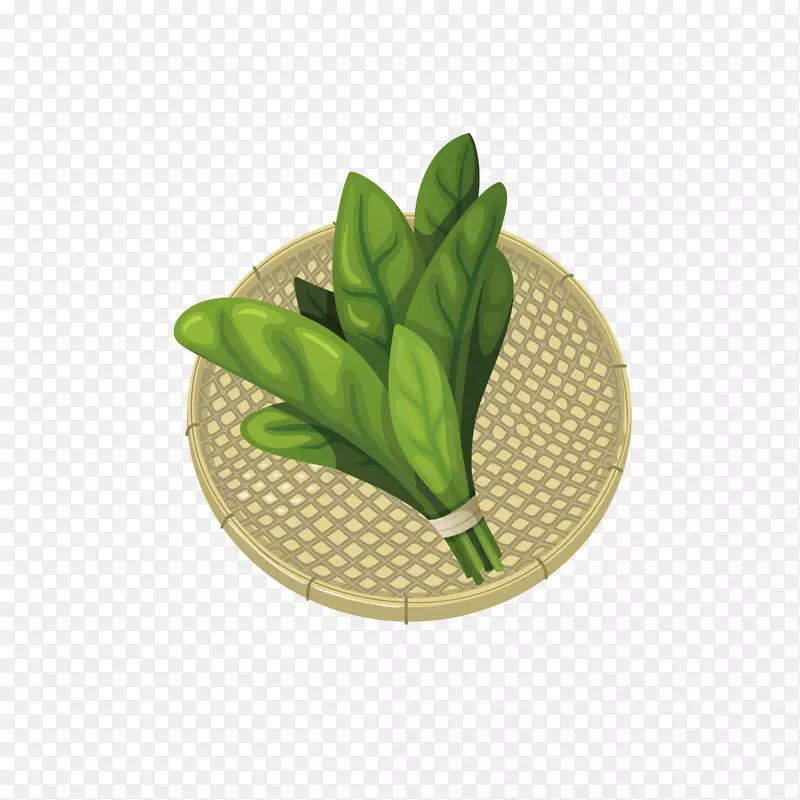手绘青菜设计素材