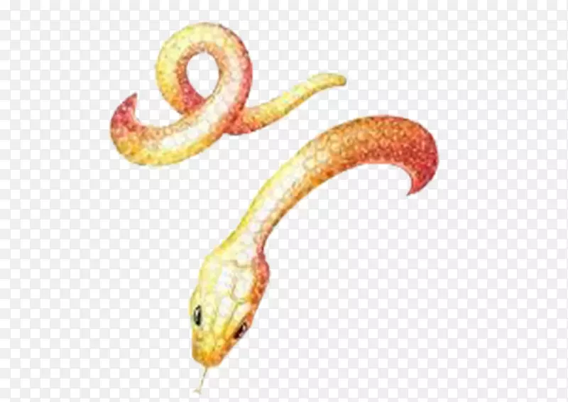 金黄色的蛇