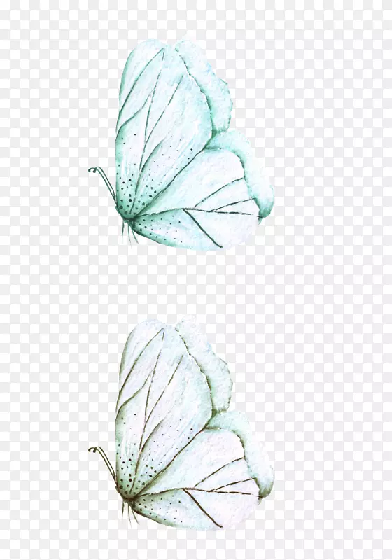手绘水彩两只青色蝴蝶