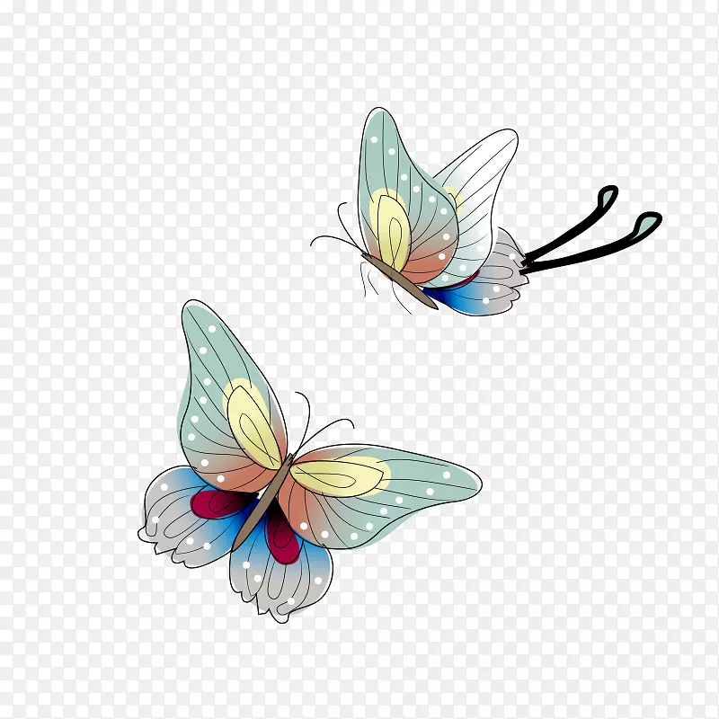 两只蝴蝶