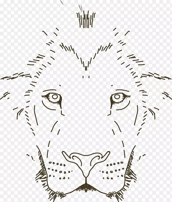 手绘狮子矢量素材图