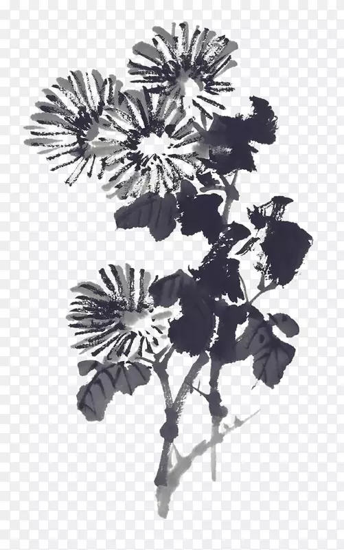 水墨黑白菊花