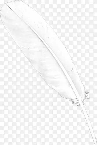 纯白色飘落羽毛