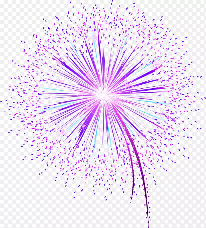 春节美丽紫色烟花