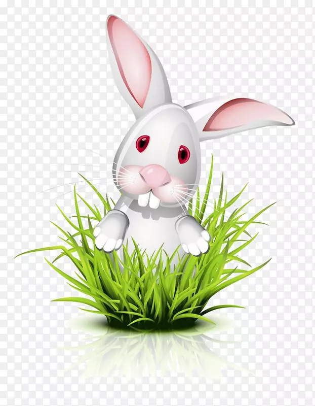 荒草包围的兔子
