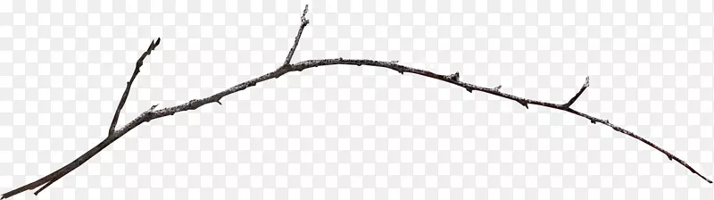 干枯的树枝