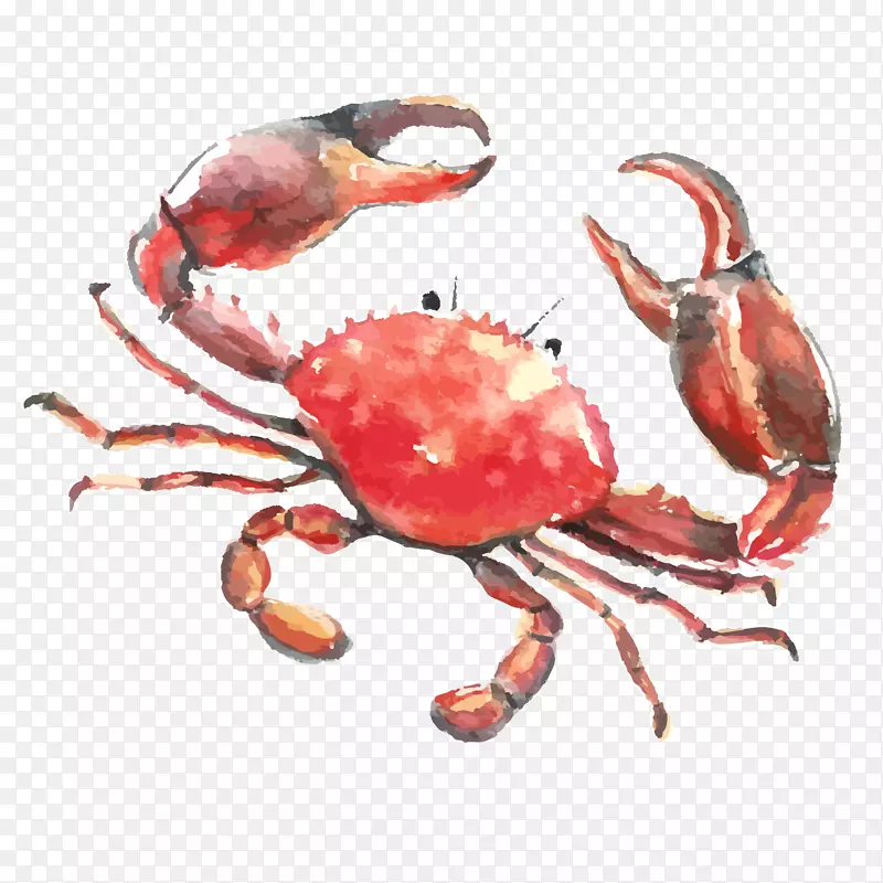 红色手绘螃蟹大闸蟹