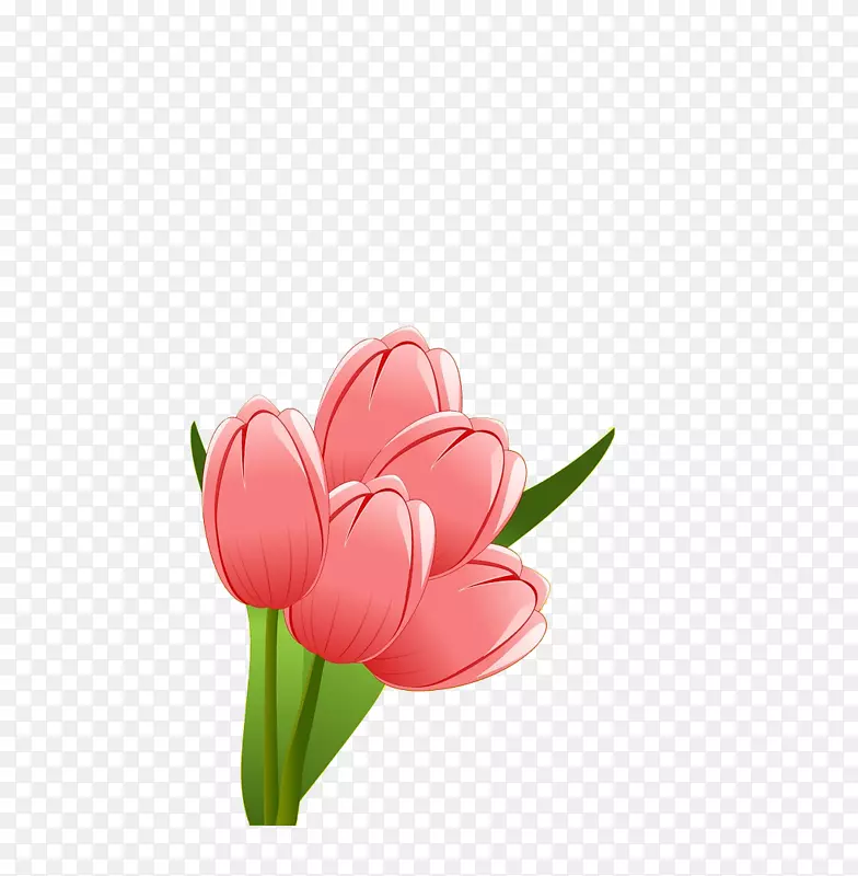 一束漂亮的花