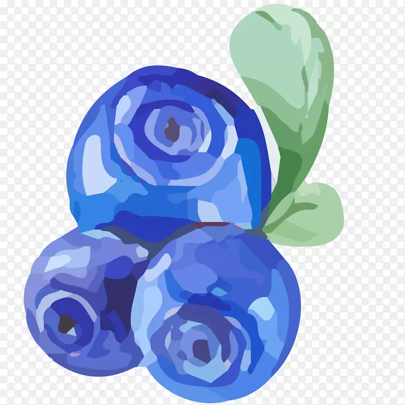 新鲜蓝莓矢量插画