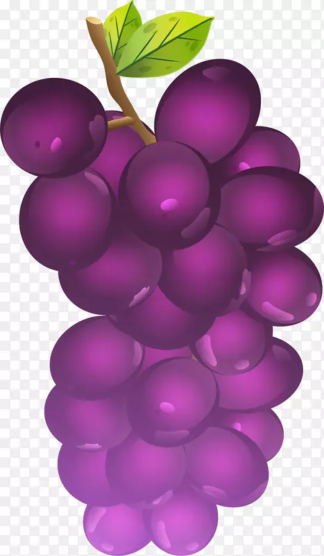 精美的紫葡萄