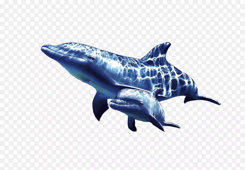 海底的海豚
