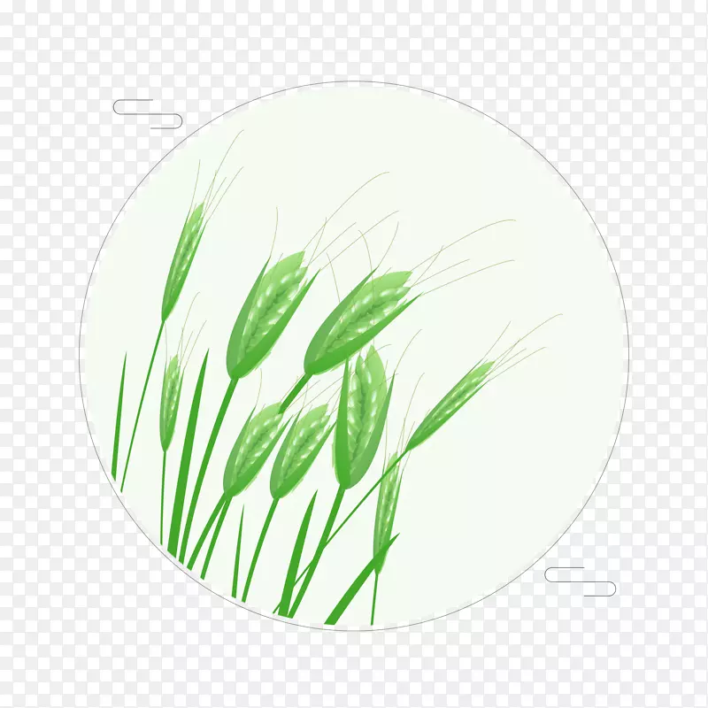 绿色的稻谷元素素材