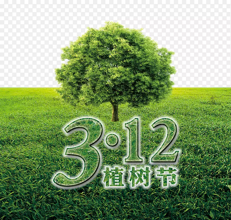 3月绿色植树节海报背景