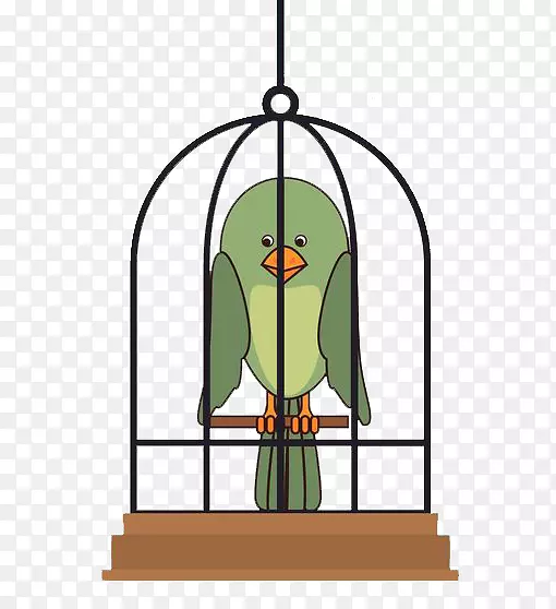 吊起的鸟笼里的小鹦鹉