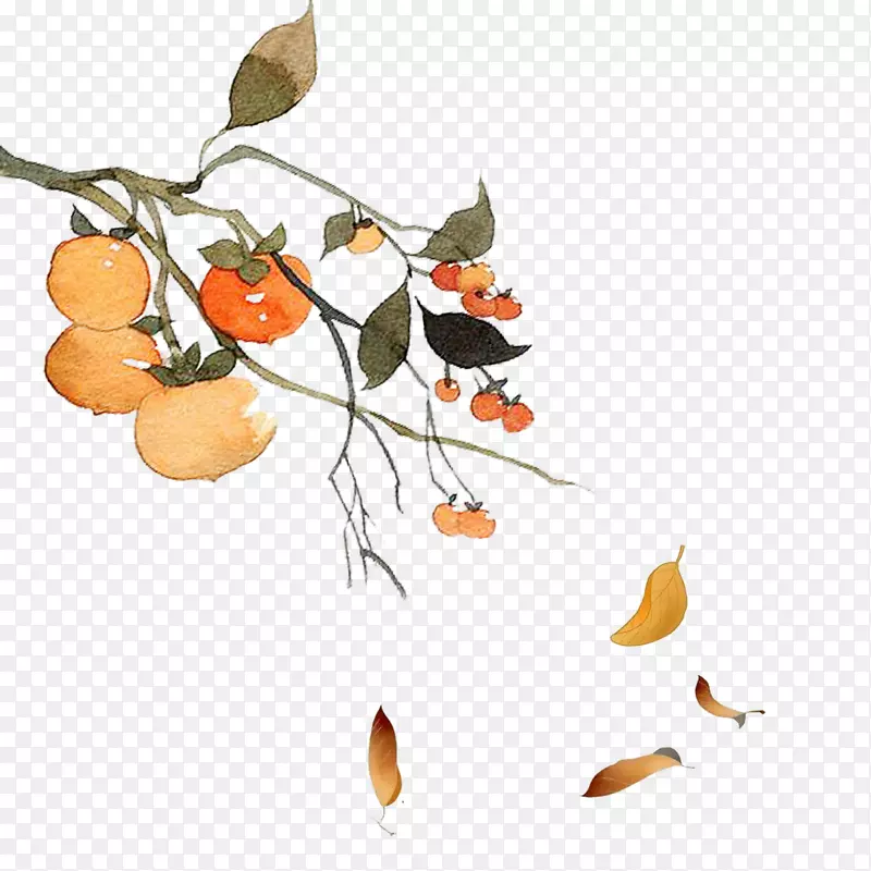 中国风重阳节柿树海报设计元素